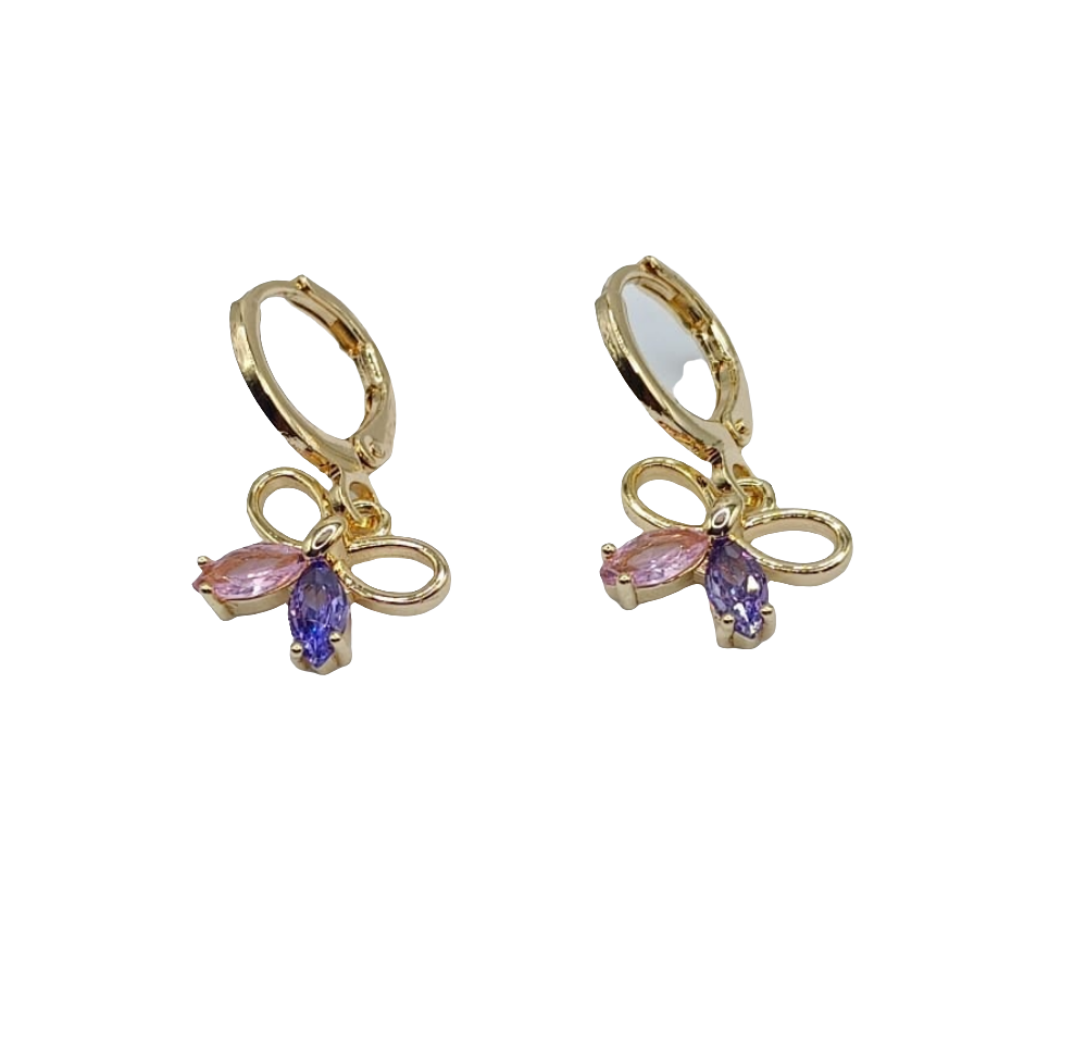 Petites boucles d'oreilles 2 couleurs