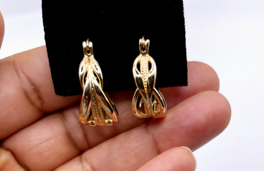 Boucles d'oreilles en acier inoxydable Reine